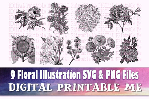 Download Floral Illustration Flower Drawing - Drawing Collection