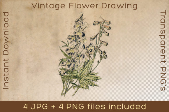 Download Flower Vintage Floral Plant Art Drawing - Drawing Collection